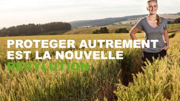 revystar xl pilier de la protection fongicide 